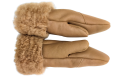 1664128496445-removebg.png