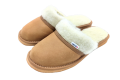 1663002200463-removebg.png